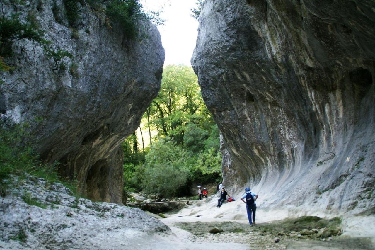Gite Des Oliviers La Roque-sur-Cèze Exterior foto